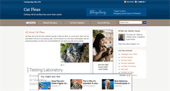 Desktop Screenshot of catfleas.blogsavy.com